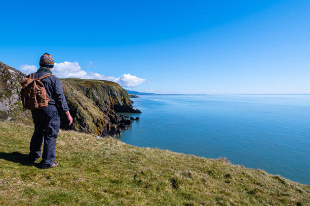 istock Senior man looking at the view from cliff tops 1312611206