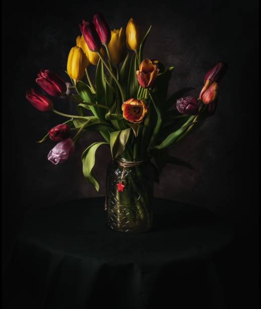 istock Isolated Flowers Dark Background Mock Photo Tulips 1312611298