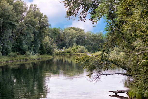 istock A beautiful landscape of the river surrounded by trees. 1312612585