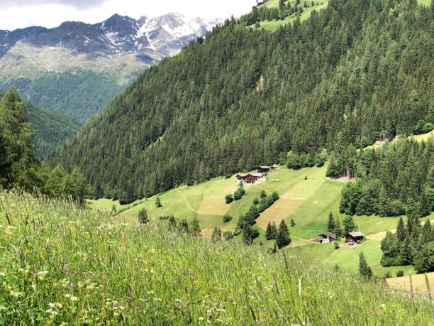 istock Scenic landscape in Southtyrol 1312613592