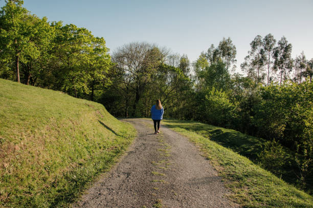istock Young woman walking on a road in a forest 1312613593