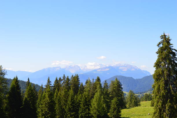 istock Scenic landscape in Southtyrol 1312613619