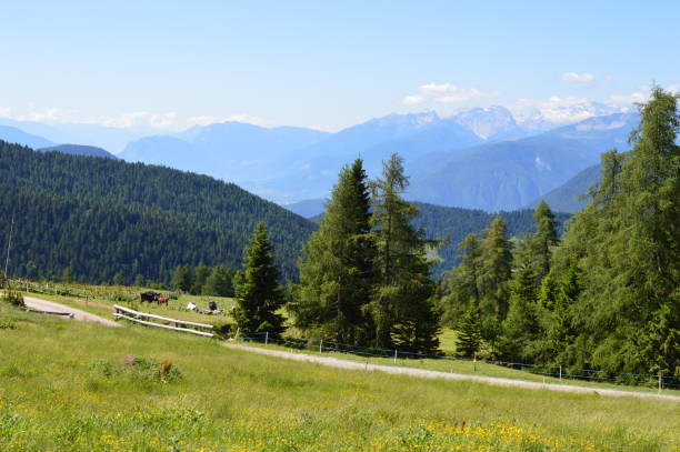 istock Scenic landscape in Southtyrol 1312613736