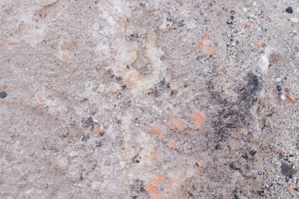 istock texture of stone concrete wall. pastel background solid. cracked sand brick 1312615391