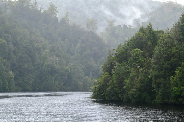 istock Gordon River Tasmania Australia Rain forest Wilderness 1312618040