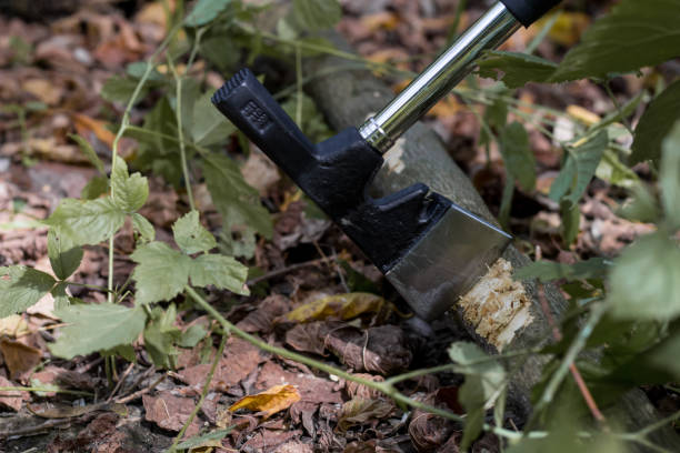 istock Wood cutting survival 1312618167