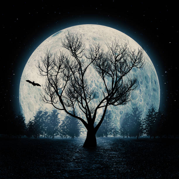 Night time landscape with tree and moon