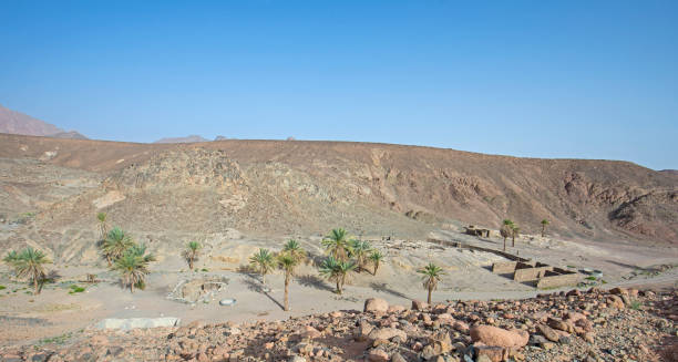 istock Oasis with palm trees in an isolated desert valley 1312621396