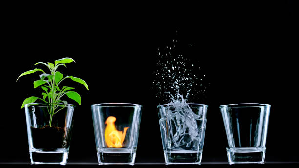 istock Drinking glasses with plant, fire and water 1312623536