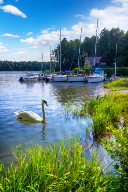 vacaciones en polonia - navegando en masuria, tierra de mil lagos - masuren fotografías e imágenes de stock