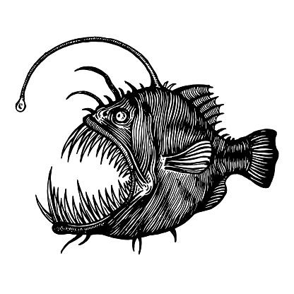 Angler fish, Lophiiformes, vector illustration. Drawing with an ink pen and pencil. A collection of fish.