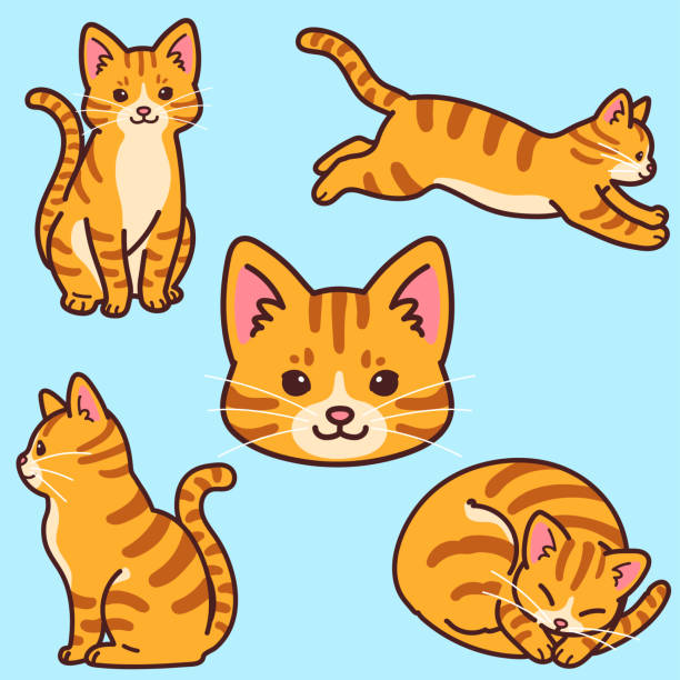 Set Of Simple And Adorable Orange Tabby Cat Illustrations Outlined Stock  Illustration - Download Image Now - iStock
