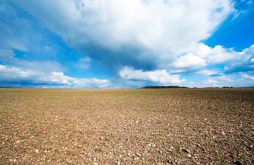 Rows of plowed soil under a deep blue sky