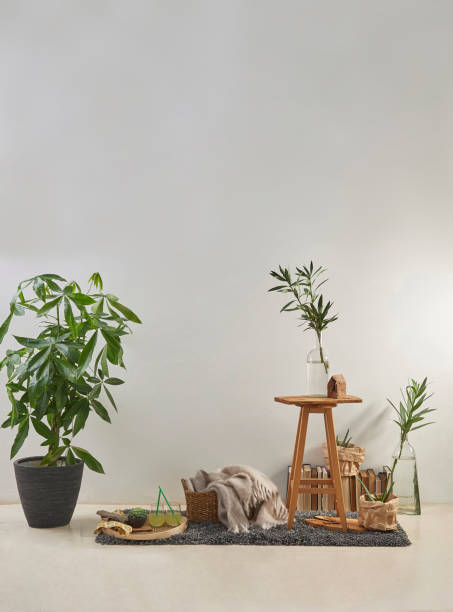 istock modern home interior design style in products and flat white wall with plant frame stool 1312633727