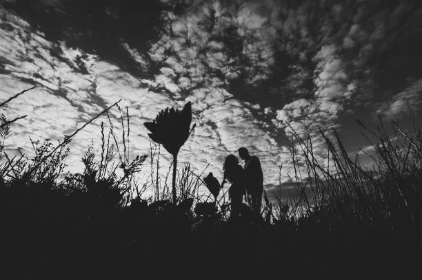side view of a romantic man and woman walking away on field grass, nature enjoying stunning sunset. concept of lovely family holding hands. young couple standing and kissing. black and white photo. - silhouette kissing park sunset imagens e fotografias de stock