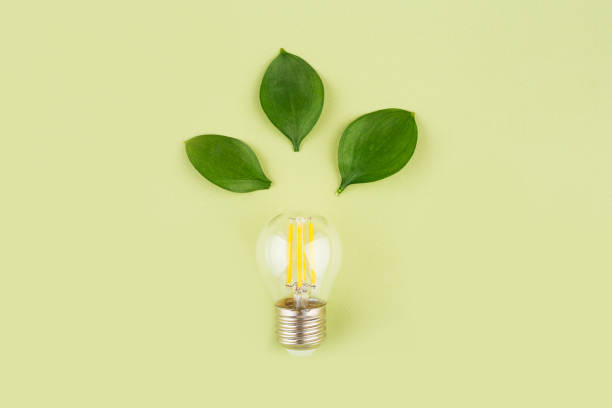 istock eco-friendly energy concept, green background, light bulb and green leaves 1312633851