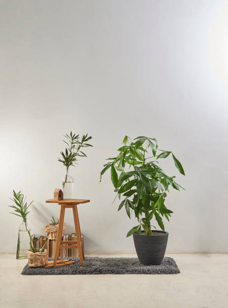 istock modern home interior design style in products and flat white wall with plant frame stool 1312634988