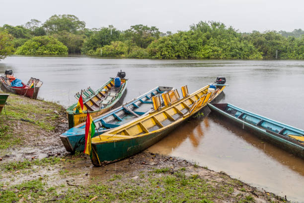 istock Boats on Beni river, Rurrenabaque, Bolivia 1312635982