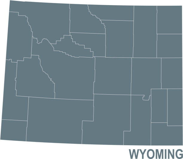 ilustrações de stock, clip art, desenhos animados e ícones de basic map of wyoming including boundary lines - wyoming map county counties