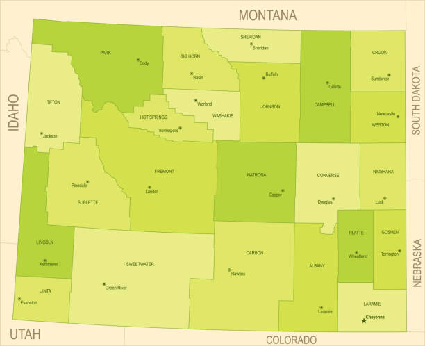 ilustrações de stock, clip art, desenhos animados e ícones de flat map of wyoming - wyoming map county counties