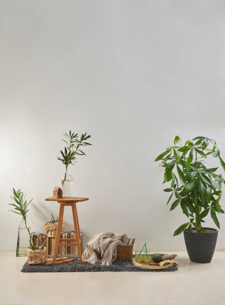 istock modern home interior design style in products and flat white wall with plant frame stool 1312638404