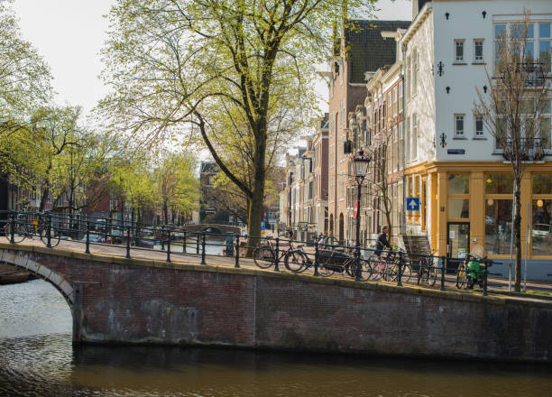 istock beautiful canal houses 1312638418