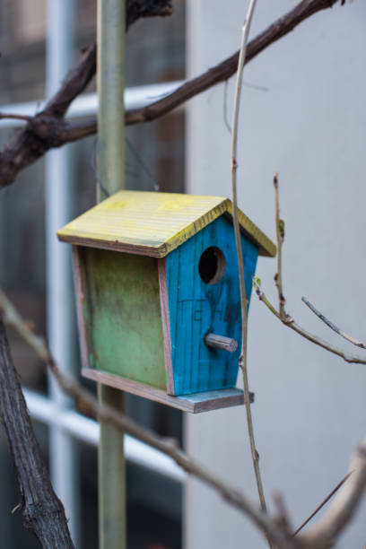 istock birdhouse on a branch 1312638855