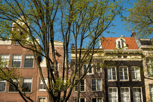 beautiful houses and blue sky in spring