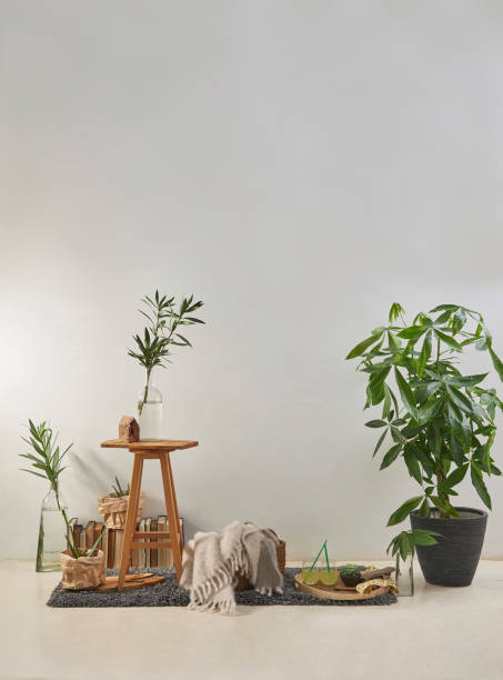 istock modern home interior design style in products and flat white wall with plant frame stool 1312639839