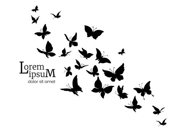 Decorative flock of butterflies. Logo design template. silhouettes of flying butterflies. Decorative flock of butterflies. Logo design template. silhouettes of flying butterflies. Vector illustration. pics of a butterfly flying stock illustrations