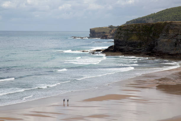 istock Scenic View of Langre Beach in Santander 1312642870