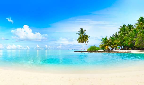 istock Beautiful beach with white sand, turquoise ocean, green palm trees and blue sky with clouds on sunny day. 1312648009