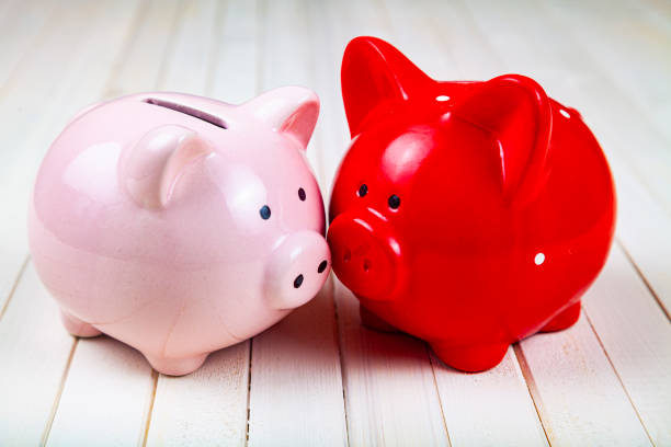 istock Two pigs piggy banks 1312649035