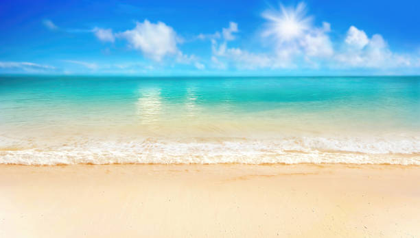 istock Beautiful background image of tropical beach. 1312649311