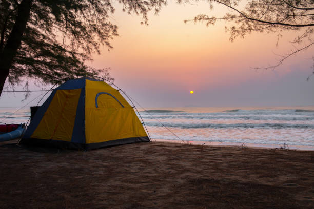 istock Thailand, Backgrounds, Beach, Beauty, Bench, Camping, Tent, Summer, Backgrounds 1312651918