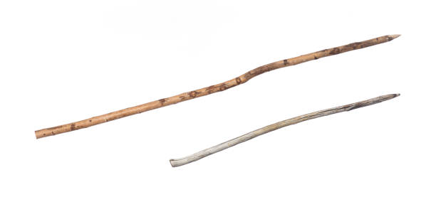 istock wooden spear isolated on white background 1312651983