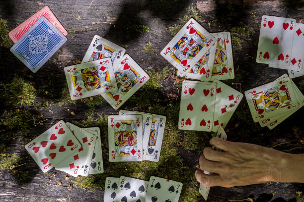 Playing cards in the wood on a bark with moss