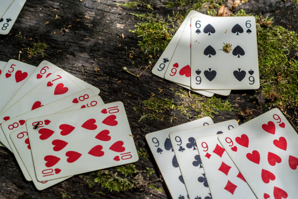 istock Playing cards in the wood on a bark with moss 1312653603