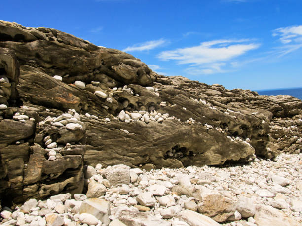 istock Scatterd White pebbles of a rocky beach 1312653630