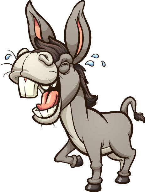 Braying Donkey Laughing and braying gray donkey or mule with big teeth in perspective. Vector clip art illustration with simple gradients. All on a single layer."n mexican mule stock illustrations