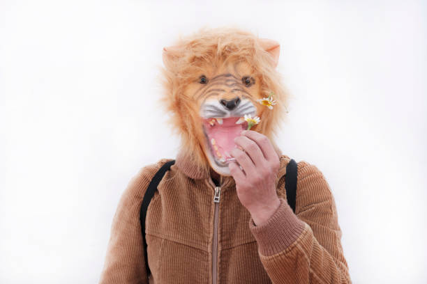 istock Man with a roaring lion full mask holding a daisy posing for camera 1312656021