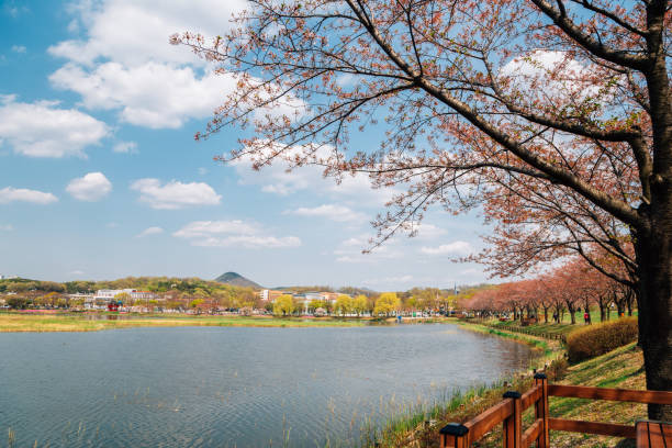 istock Hwarang Recreation Area park at spring in Ansan, Korea 1312656275