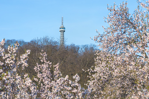 Lookout tower over Petrin hill.\nPetrin Hills in Prague during the spring blooming gardens. City landscape in spring time. Prague, Czech Republic