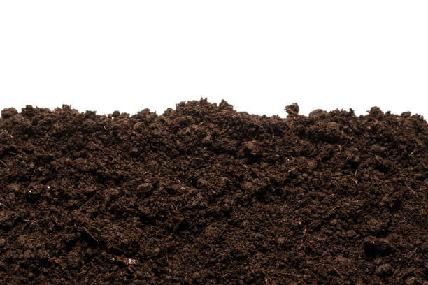 istock Black land for plant. 1312659046