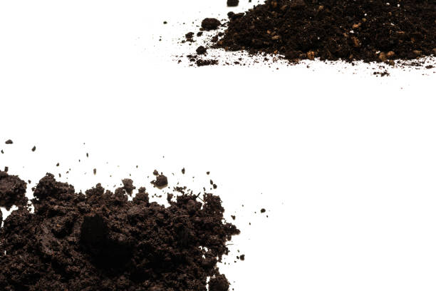 istock Black land for plant. 1312659078
