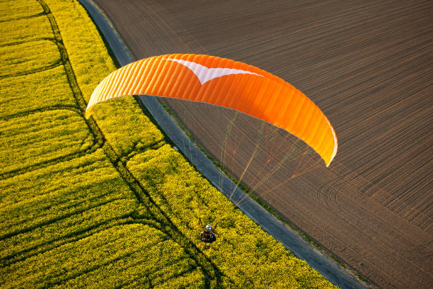 istock Canola fields with paramotor seen from the sky with low sun and blue sky 1312660068
