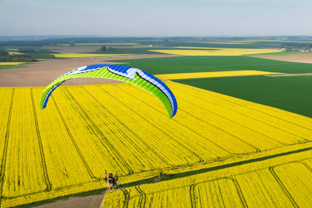 istock Colorful motorized paramotor flying freely over yellow rapeseed fields in spring 1312660720