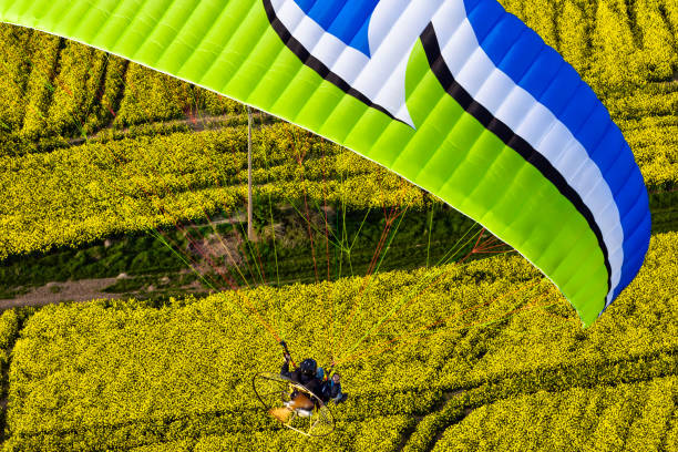 istock Colorful motorized paramotor flying freely over yellow rapeseed fields in spring 1312662715
