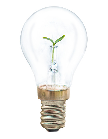 LED Bulb in the green nature background - Eco friendly concept