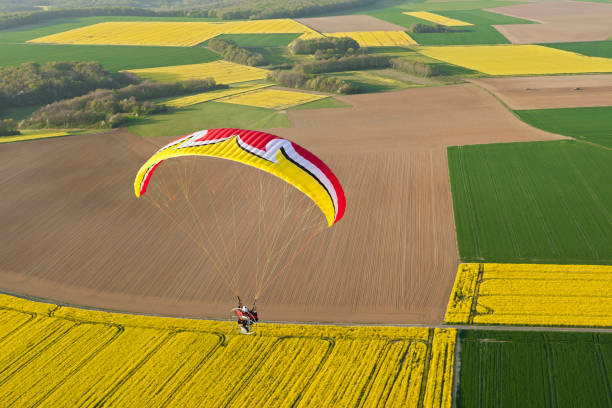 istock Colorful Paramotor seen from the sky over the fields of yellow rapeseed in spring 1312664391